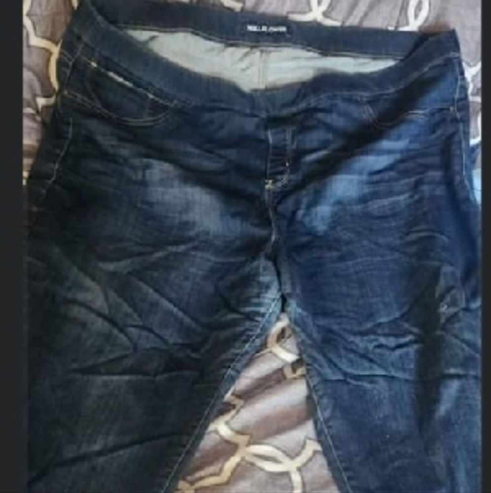 Wallflower jeans size 3x